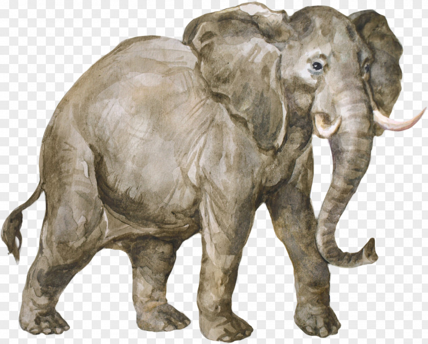Elephants From The Jungle Book Bedlam Stacks Apatosaurus Watchmaker Of Filigree Street Dinosaur African Elephant PNG