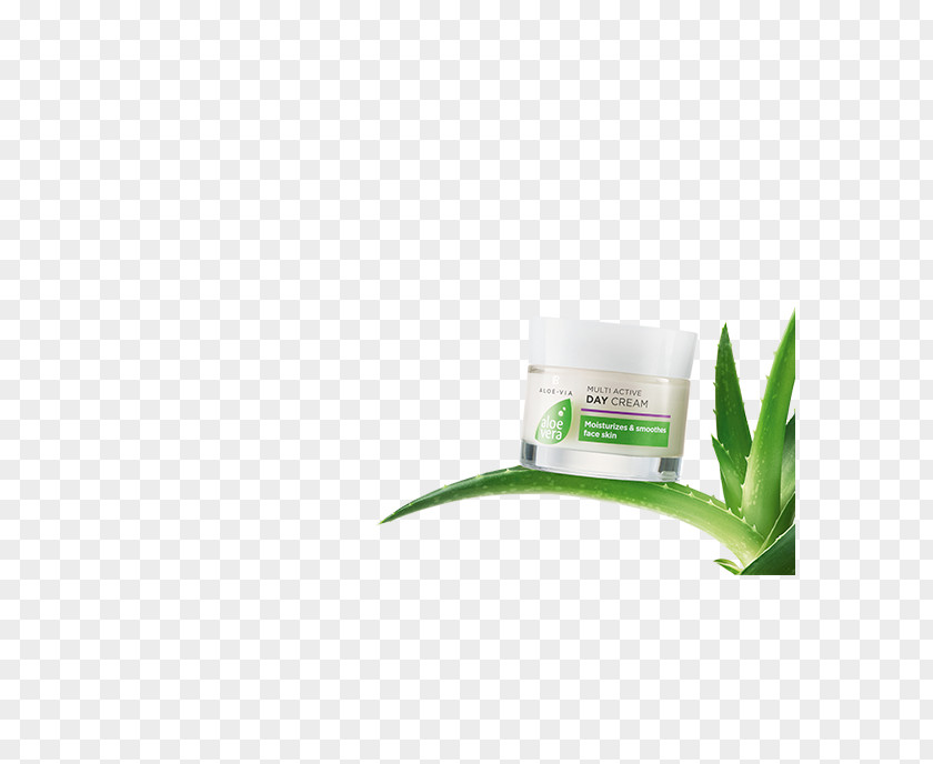 Face Mask LR Health & Beauty Systems Aloe Vera Online Shop Plant Skin PNG