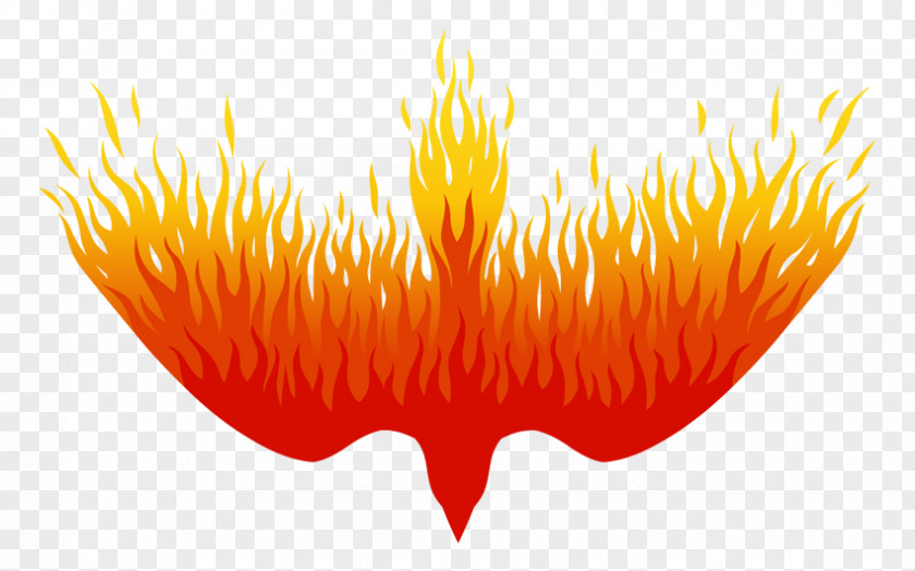 Fire Artist Flight Simulator Stencil PNG