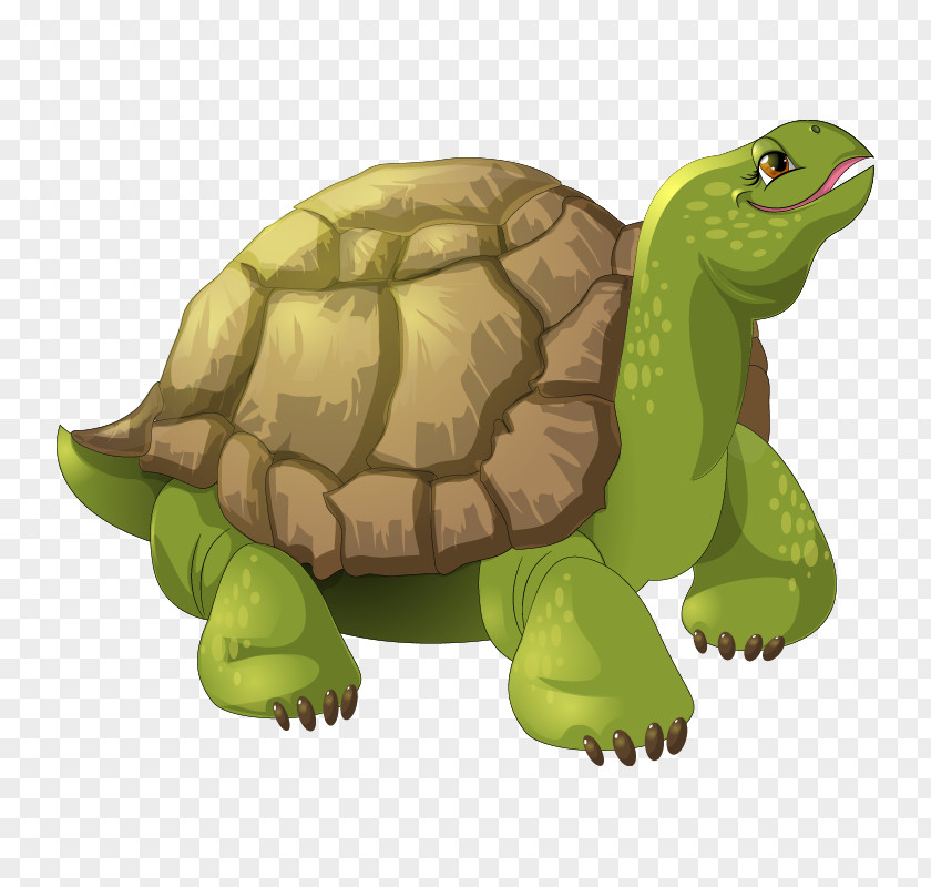 Turtle Stock Photography Royalty-free Image Illustration PNG