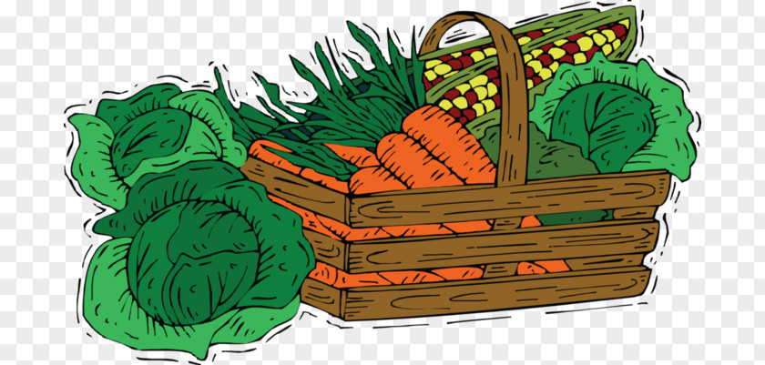 Vegetable Cabbage Image Food Carrot PNG