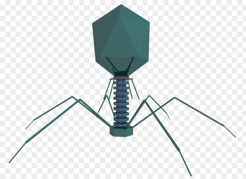 Cartoon Of Ferocious Virus Cells Tobacco Mosaic Bacteriophage Computer Cell PNG