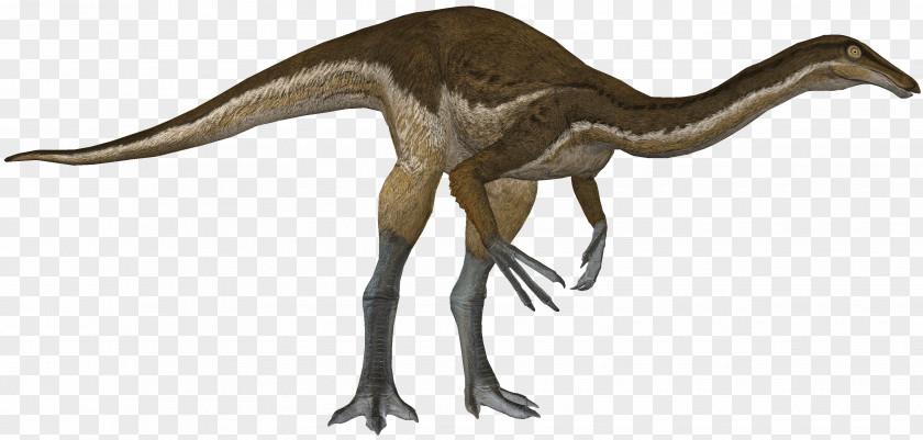 Dinosaur Velociraptor Gallimimus Tyrannosaurus Animal PNG