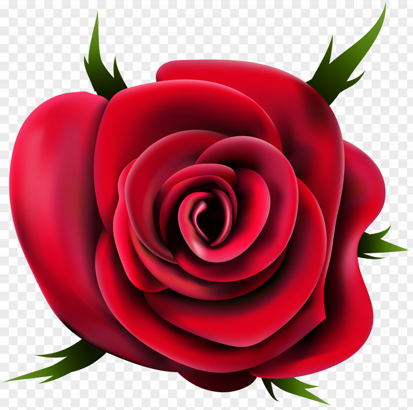 Rose Desktop Wallpaper Clip Art PNG