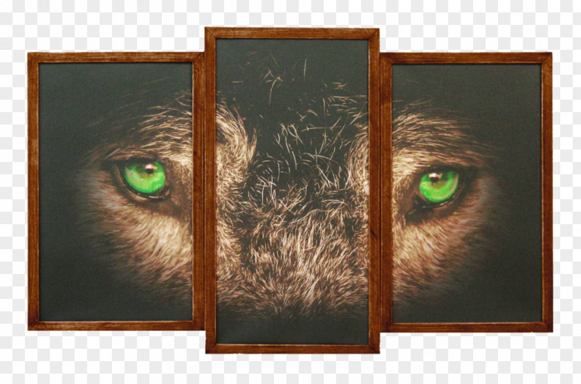 Tiger Whiskers Painting Cat Picture Frames PNG