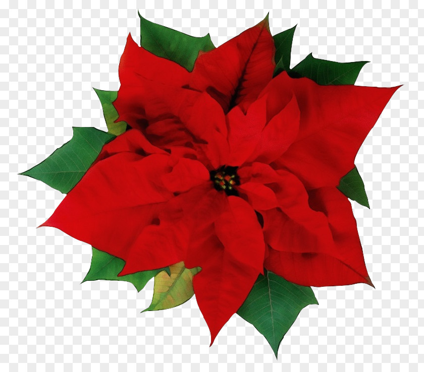 Christmas Decoration PNG