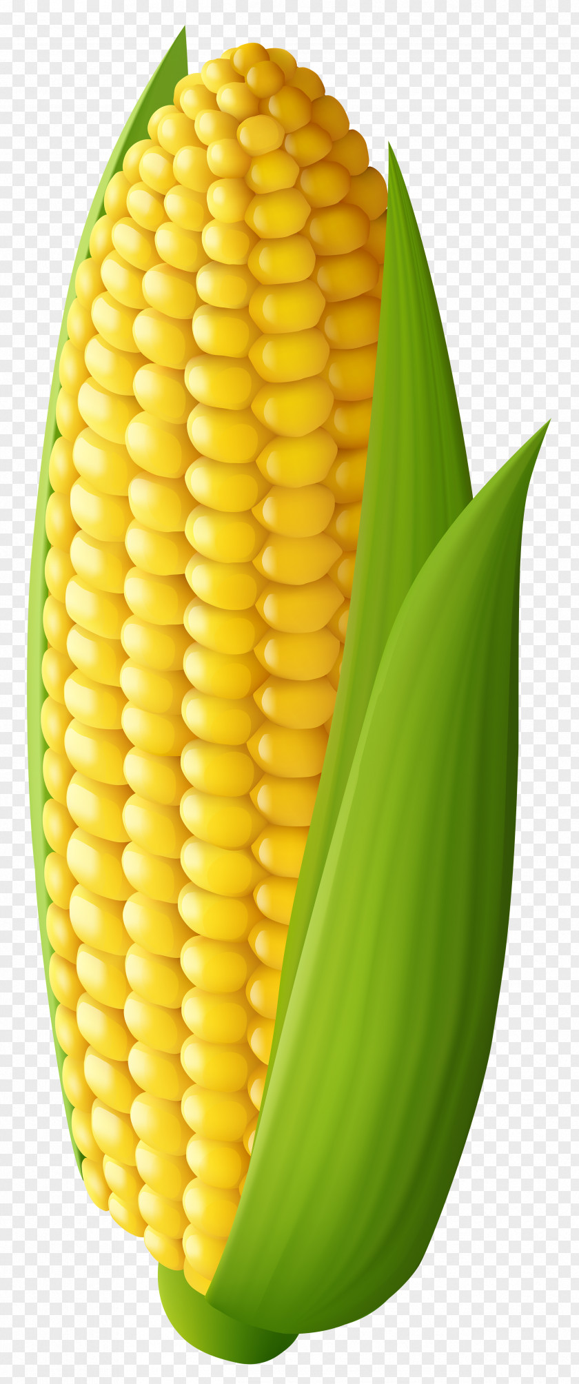 Corn Transparent Clip Art Image On The Cob Maize PNG