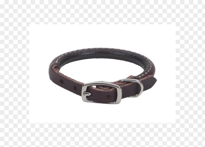 Dog Collar Leather Pet PNG