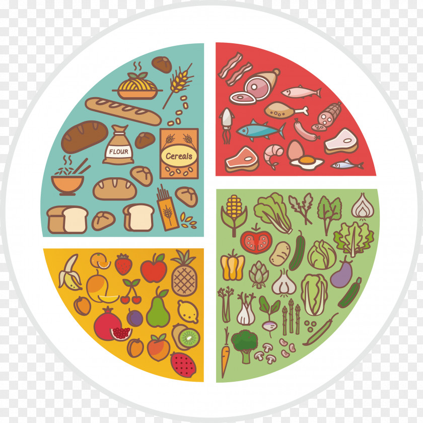 Healthy Breakfast Tray Vector Diet Food Meal Infographic PNG