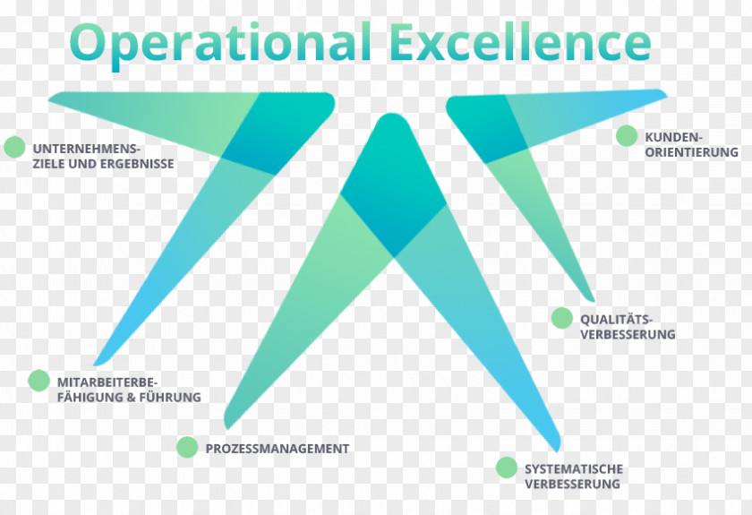 Operational Excellence Lean Manufacturing Six Sigma Management Business PNG