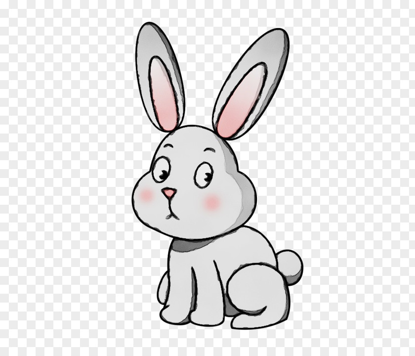 Rabbit Cartoon Rabbits And Hares White Nose PNG