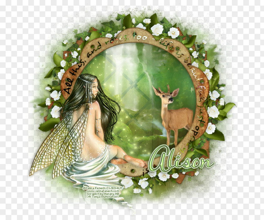 Fairy Picture Frames PNG