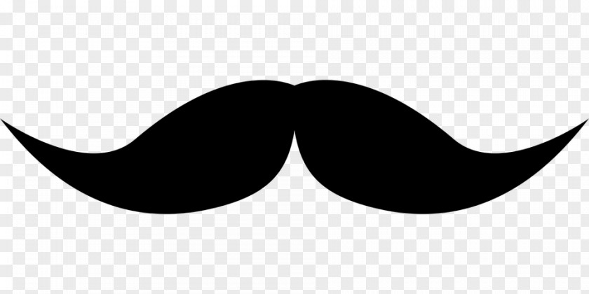 Moustache Fu Manchu Movember PNG