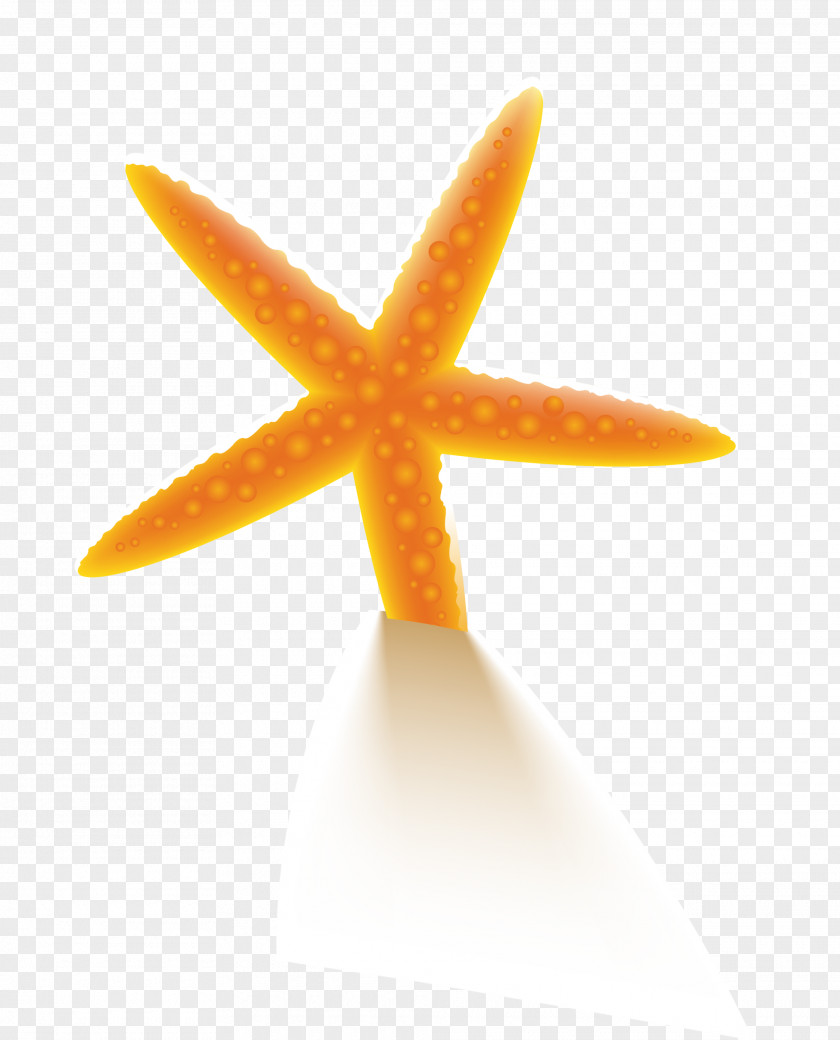 Orange Beach Starfish PNG