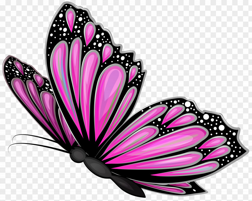 Pink Butterfly Transparent Clip Art Image PNG