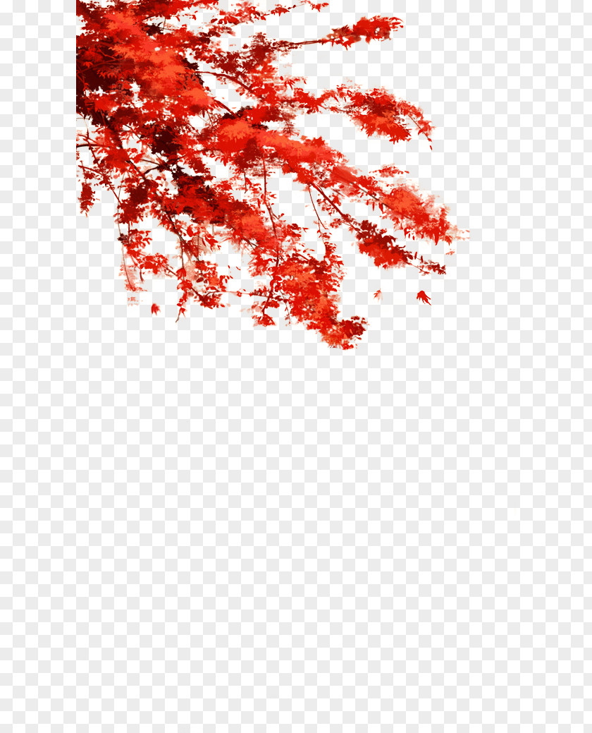 Red Leaves Art Drawing Illustrator Illustration PNG