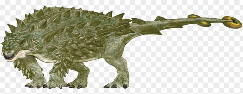 Dinosaur Nodosaurus Ankylosaurus Sauropelta Saichania PNG