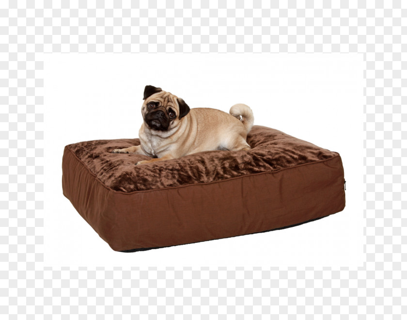 Dog Cushion Bed Throw Pillows Pet Shop PNG