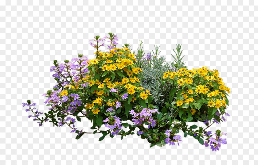 Flower Bush Psd Shrub Garden Plants PNG