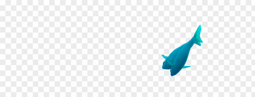 Marine Fish Dolphin Turquoise Mammal Blue Porpoise PNG
