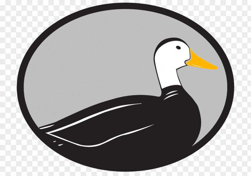 Odd Ducks Duck Media Clip Art Google My Business Company Logo PNG