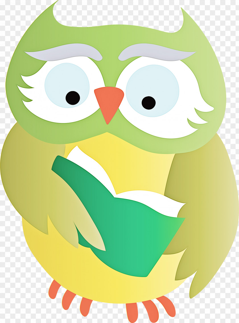 Owls Birds Beak Little Owl Bird Of Prey PNG