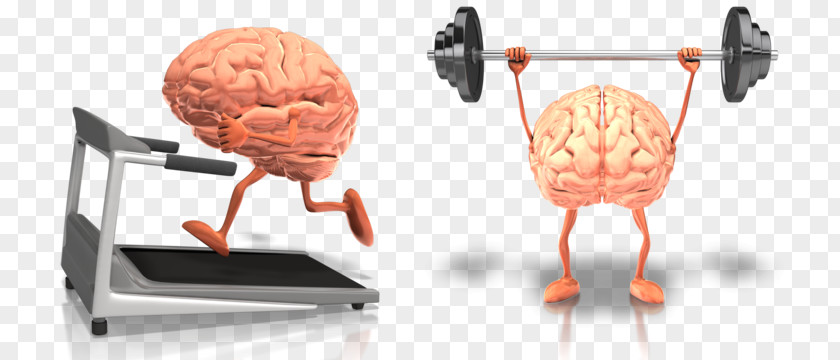 Brain Health Exercise Food Fish Oil PNG