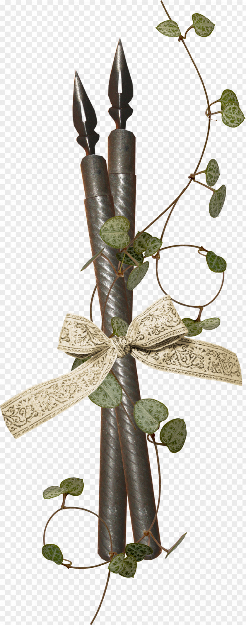 Foliage Pen Fountain Twig PNG