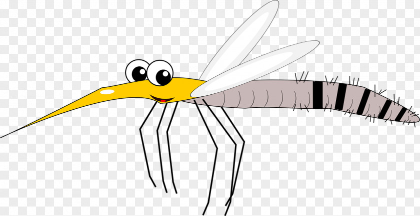 Insect Zika Virus Vector Scientist Disease PNG