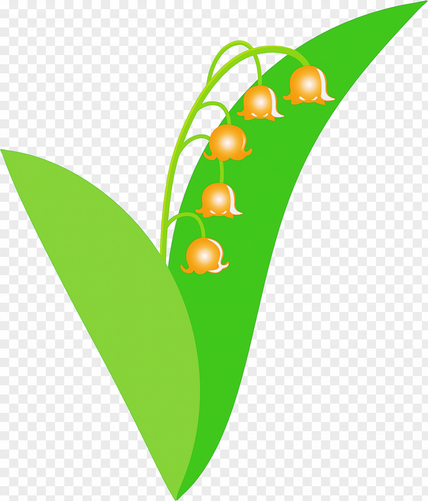 Lily Bell Flower PNG