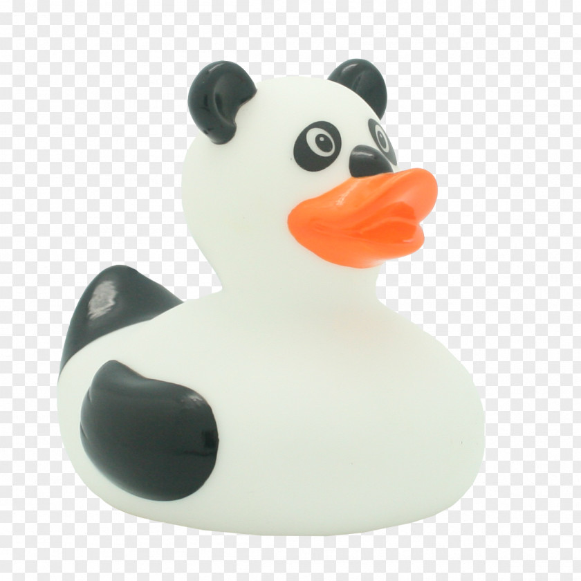 Rubber Duck Giant Panda Sindiseca Toys Los Patos, Dominican Republic Child PNG