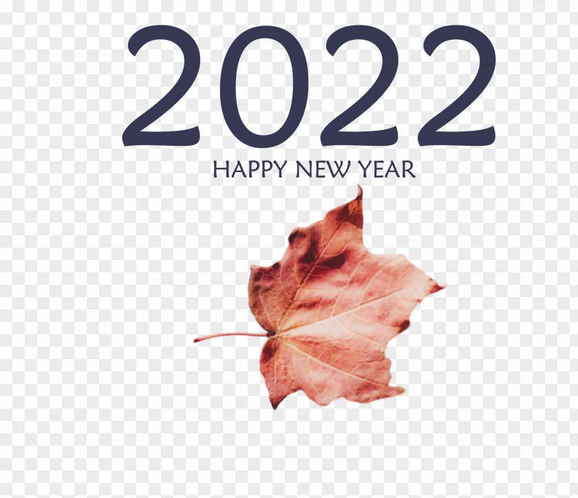 2022 Happy New Year PNG