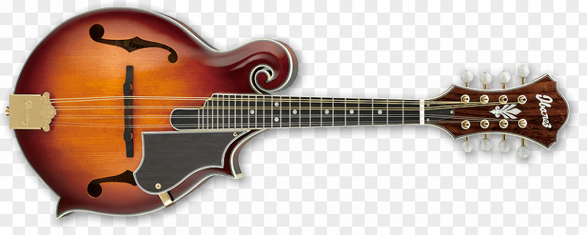 Acoustic Guitar Mandolin Electric Ibanez M522S PNG