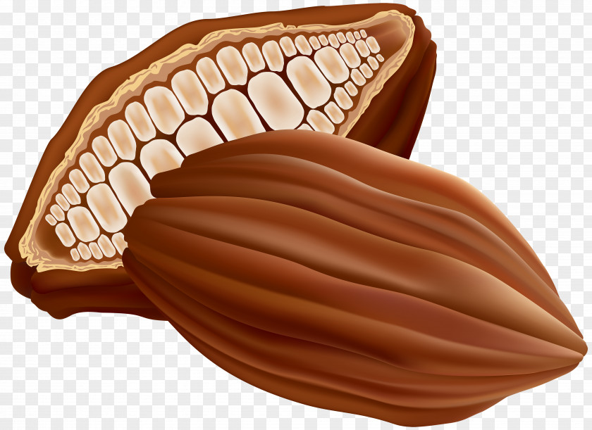 Cocoa Clip Art Image Chocolate Praline PNG