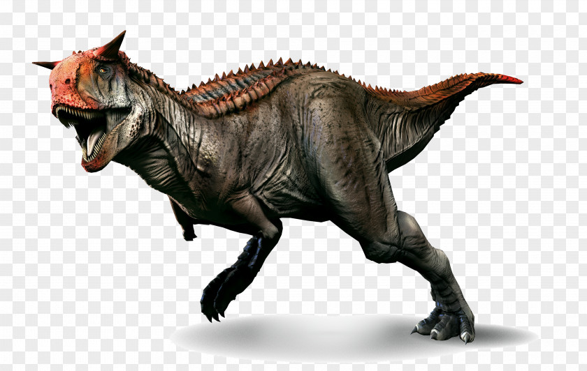 Dinosaur Carnotaurus Tyrannosaurus Spinosaurus Primal Carnage: Extinction Oviraptor PNG