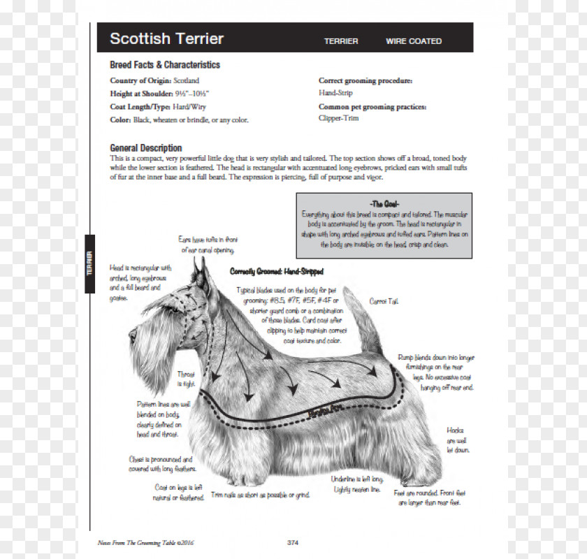Flying Book Scottish Terrier Notes From The Grooming Table Miniature Schnauzer Dog PNG
