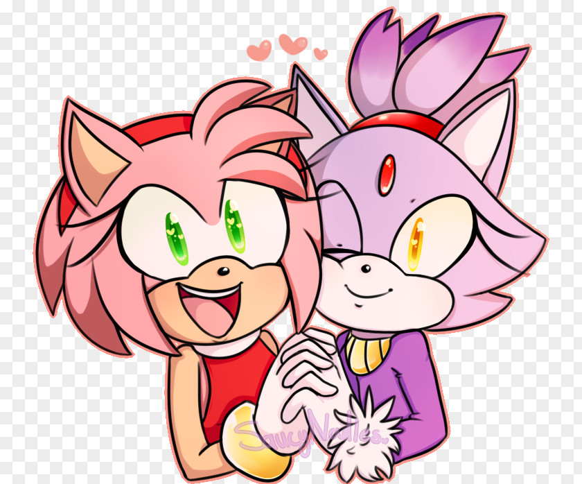 Hedgehog Amy Rose Blaze The Cat Sonic Unleashed PNG