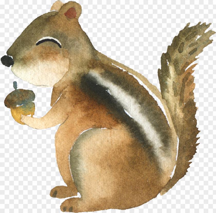 Woodland Zanj Sun Squirrel Mug Poison Boyfriend PNG
