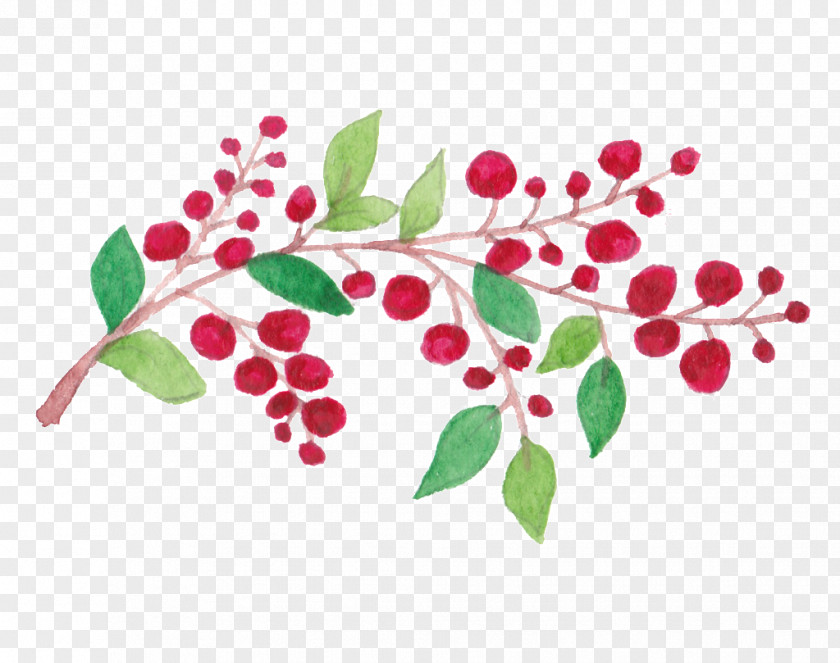 Bough Ornament Holly Flowering Plant Leaf Clip Art Stem PNG