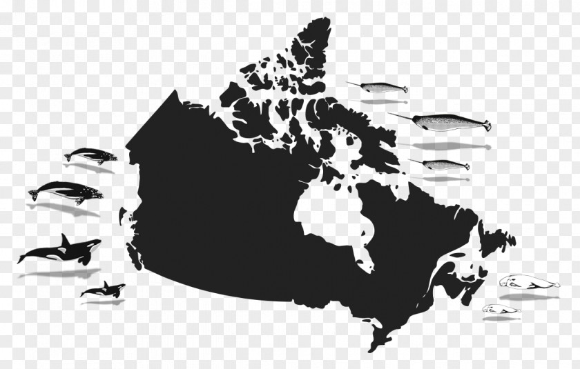 June 2018 Canada Vector Map PNG