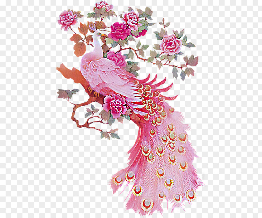 Peacock Peony Bird Peafowl Feather Pink Paper PNG