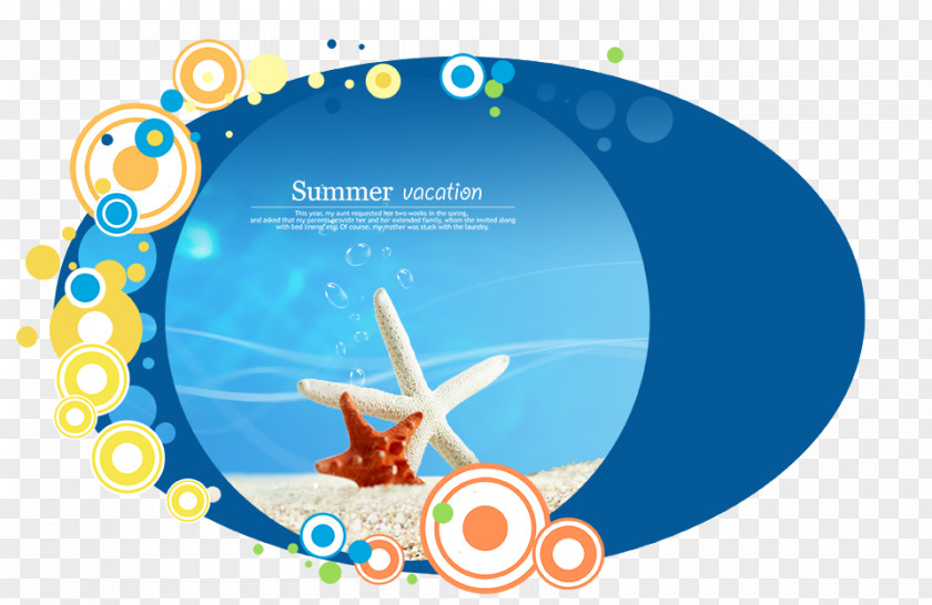 Starfish Creative Circle Sea Icon PNG