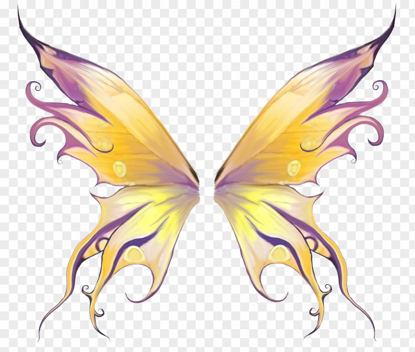 Decorative Wings PNG