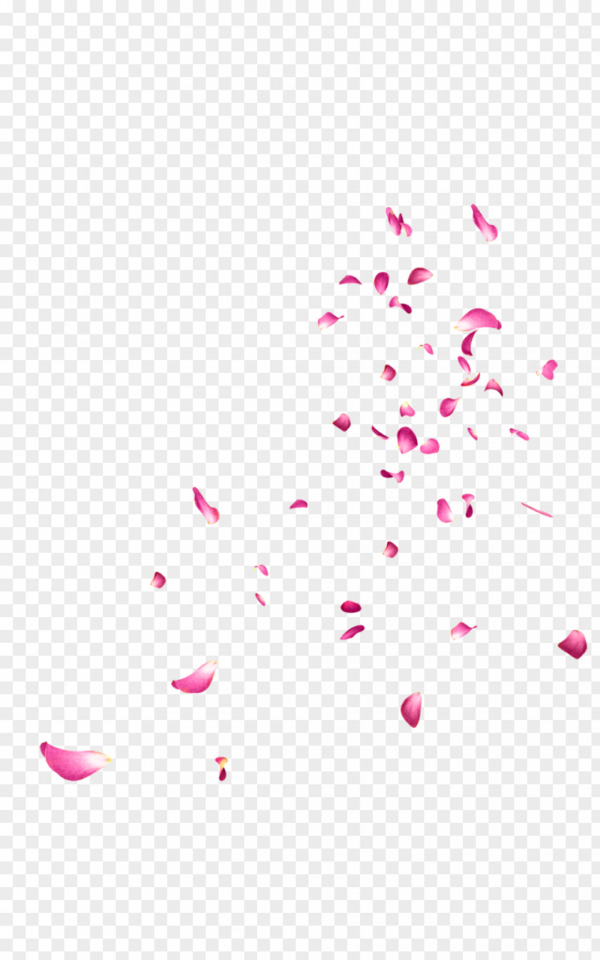 Floating Flower Editing Clip Art PNG