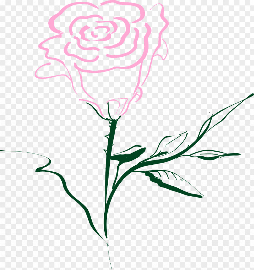 Flower Drawing Rose Clip Art PNG