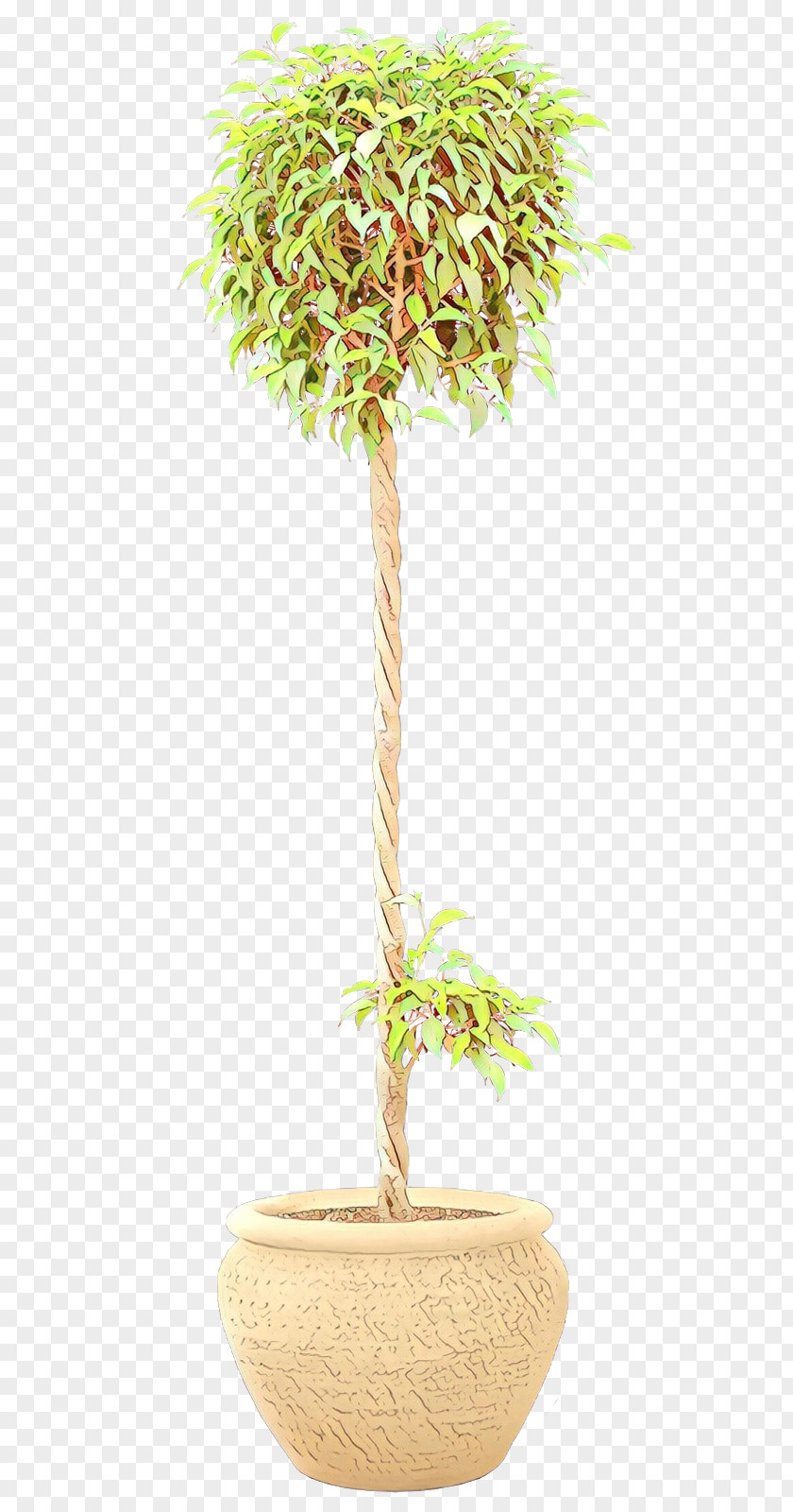 Flowerpot Tree Houseplant Plant Stem Plants PNG