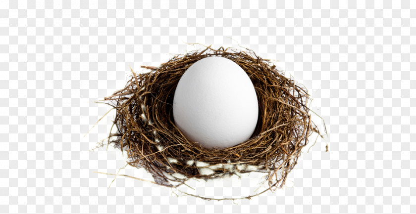 Nest Egg Individual Retirement Account Roth IRA 401(k) Planning PNG