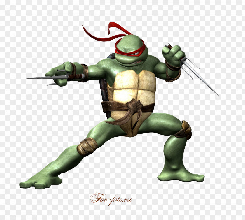 Ninja Turtles Raphael Leonardo Michelangelo Donatello Teenage Mutant PNG