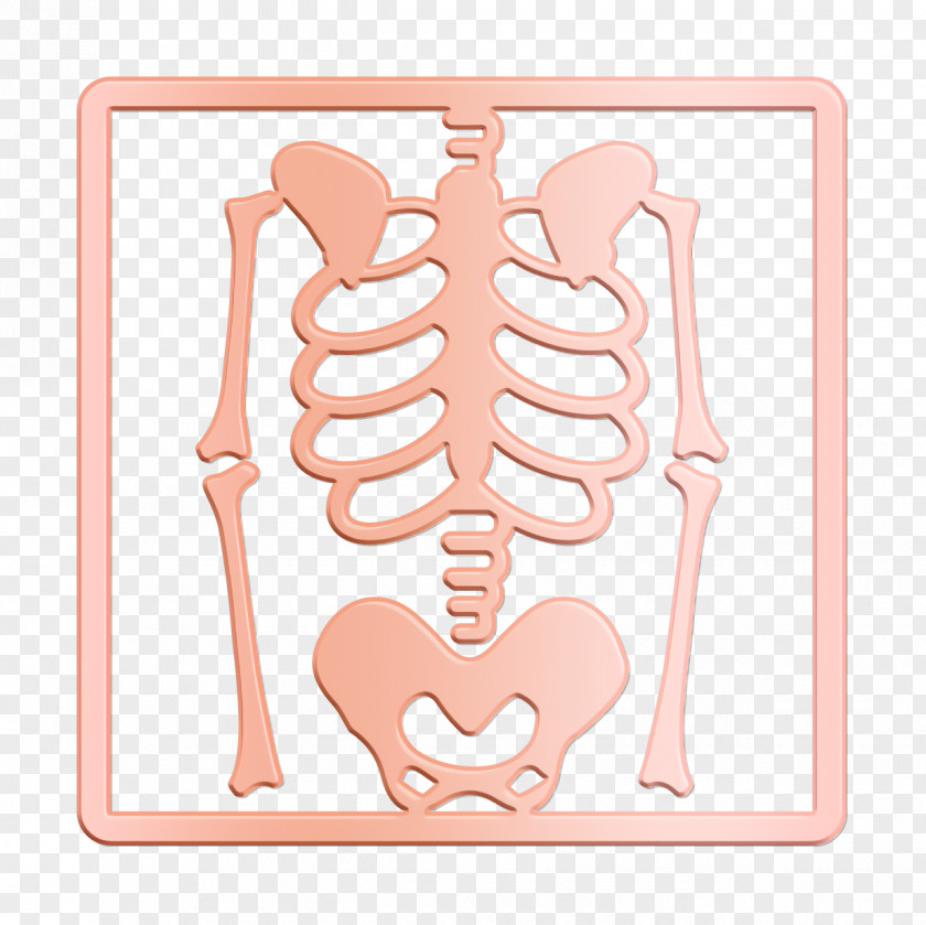 Skeleton View On X Ray Icon Health Set PNG