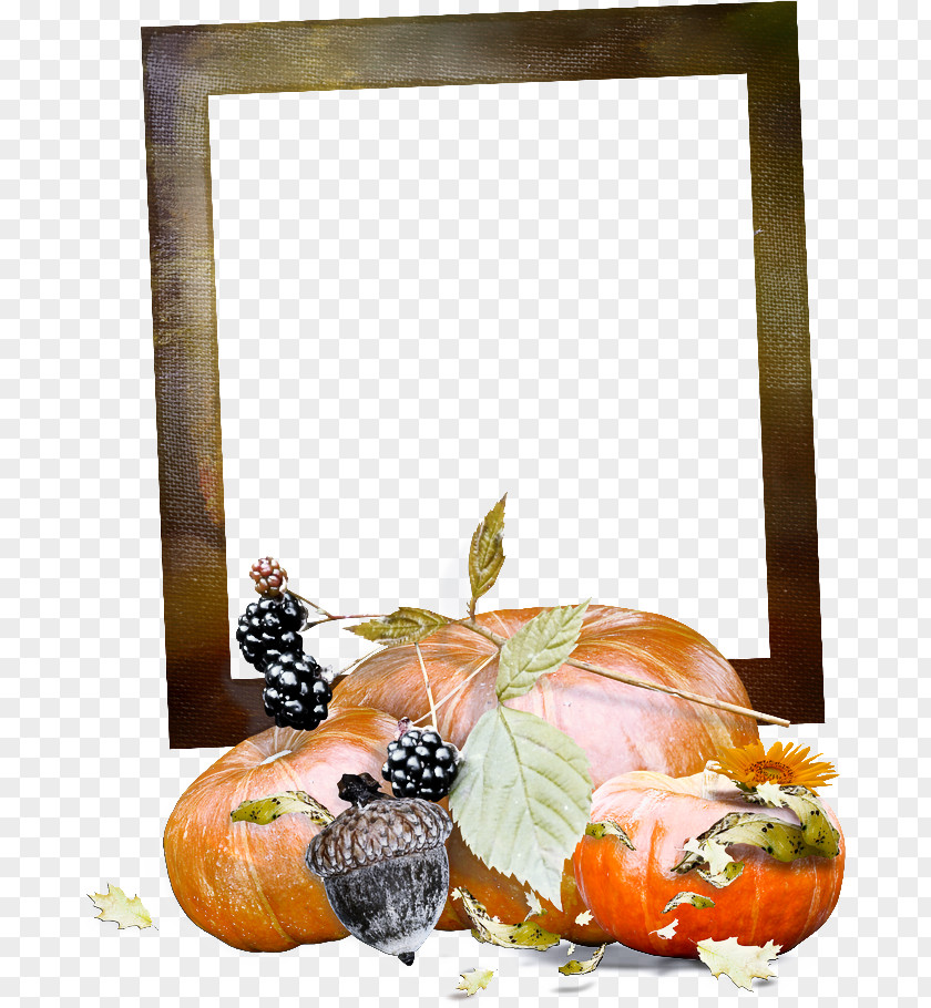 Still Life Photography Plant Picture Frame PNG